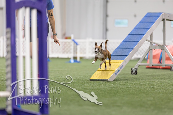 MastersSeriesAgility2026381