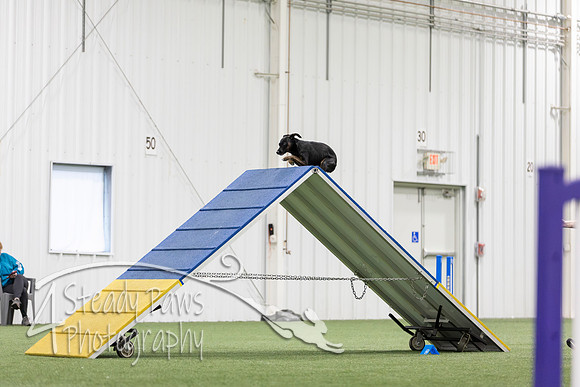 MastersSeriesAgility2026382