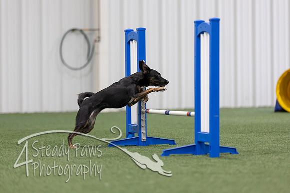 MastersSeriesAgility2026384