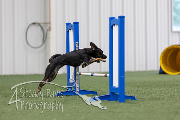 MastersSeriesAgility2026385