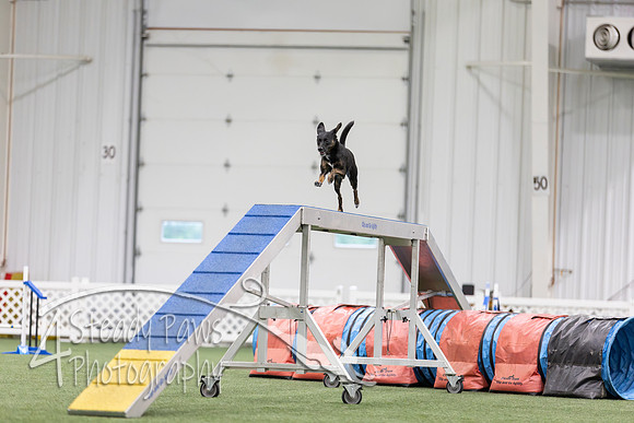 MastersSeriesAgility2026387