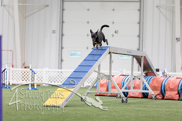 MastersSeriesAgility2026389