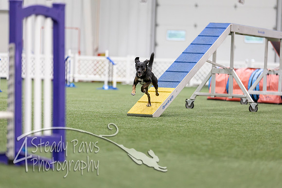 MastersSeriesAgility2026390