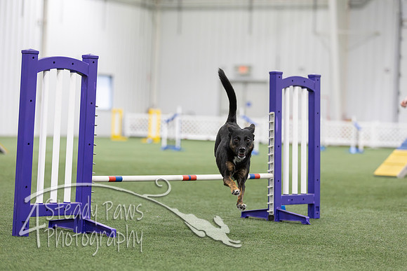 MastersSeriesAgility2026391