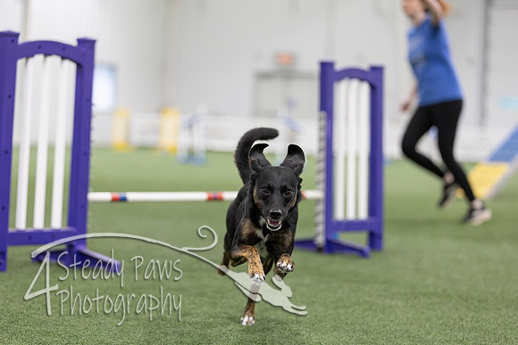 MastersSeriesAgility2026392