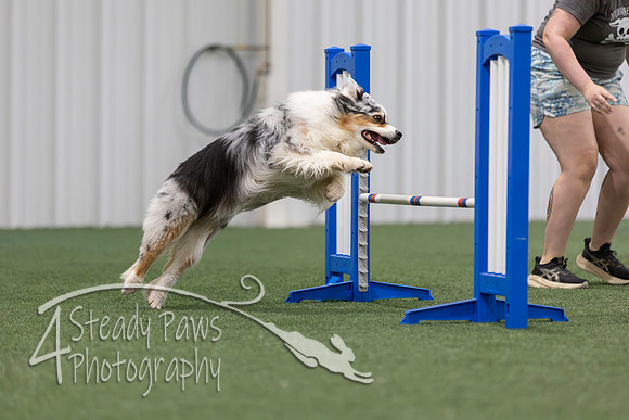 MastersSeriesAgility2026394