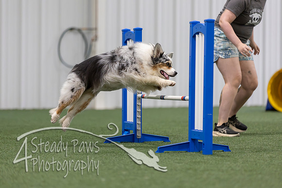 MastersSeriesAgility2026395