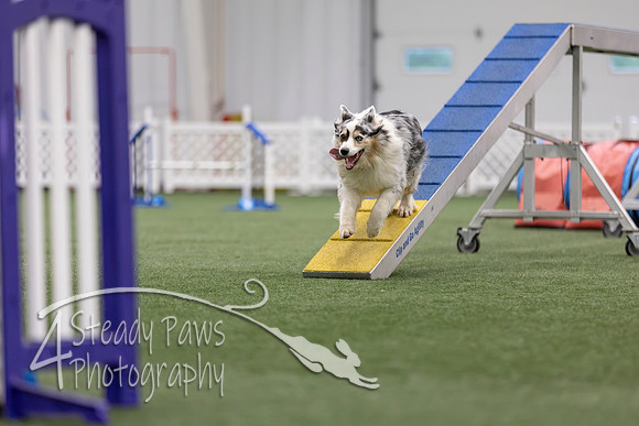 MastersSeriesAgility2026397
