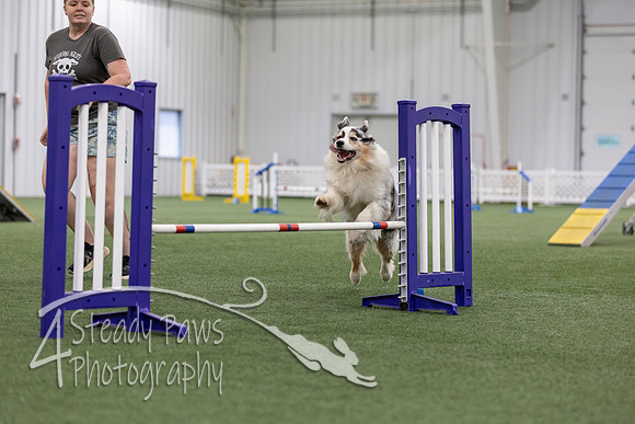 MastersSeriesAgility2026398