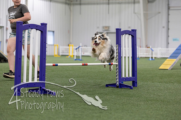 MastersSeriesAgility2026399