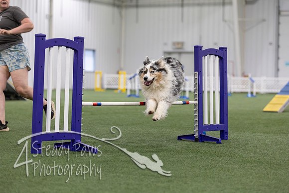 MastersSeriesAgility2026401