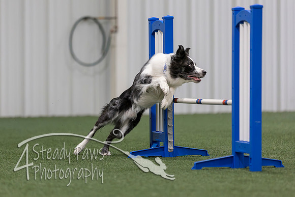MastersSeriesAgility2026403