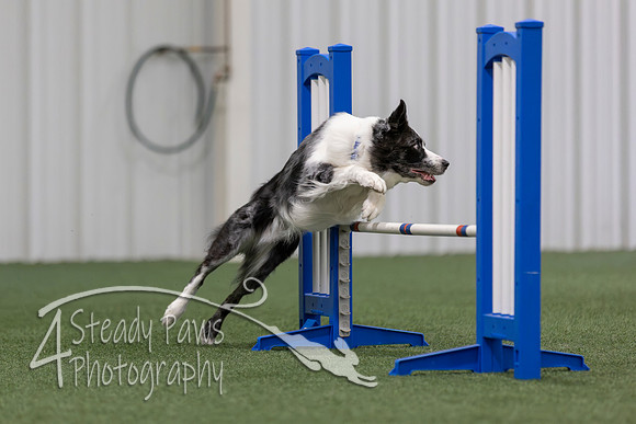 MastersSeriesAgility2026404