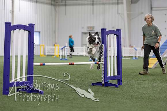MastersSeriesAgility2026406