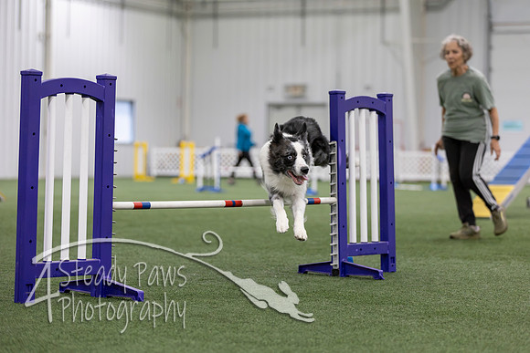 MastersSeriesAgility2026407
