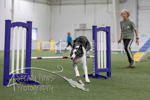 MastersSeriesAgility2026408