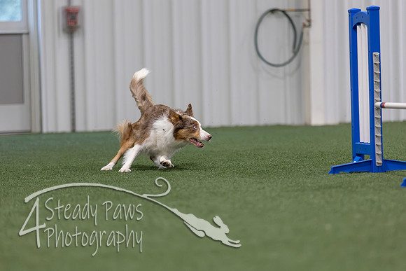 MastersSeriesAgility2026412