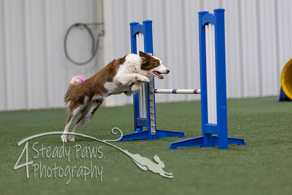 MastersSeriesAgility2026414