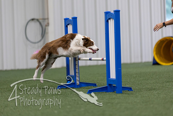 MastersSeriesAgility2026415