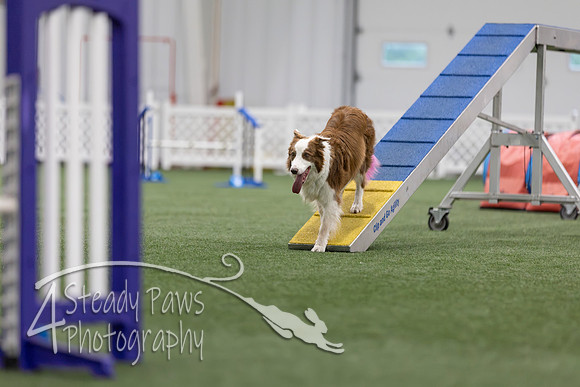 MastersSeriesAgility2026417