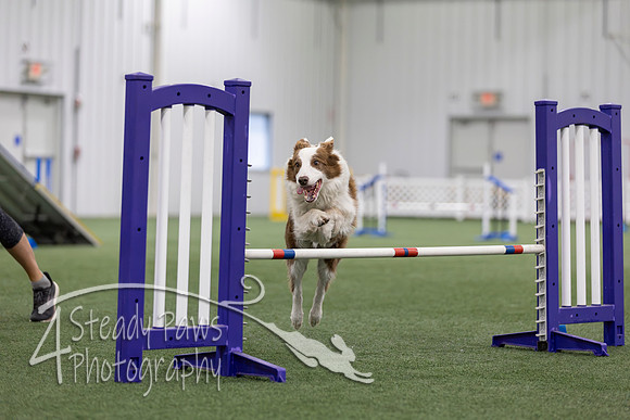 MastersSeriesAgility2026418