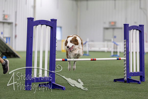 MastersSeriesAgility2026419