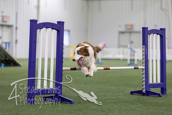 MastersSeriesAgility2026420