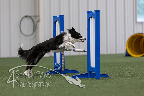 MastersSeriesAgility2026422