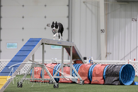 MastersSeriesAgility2026423