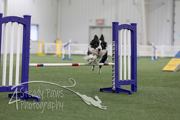 MastersSeriesAgility2026424