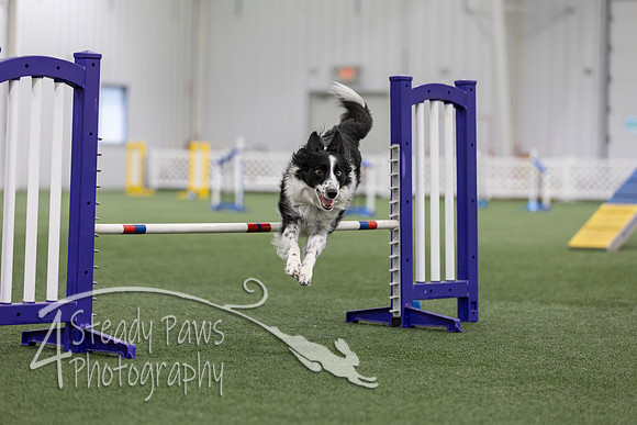 MastersSeriesAgility2026425