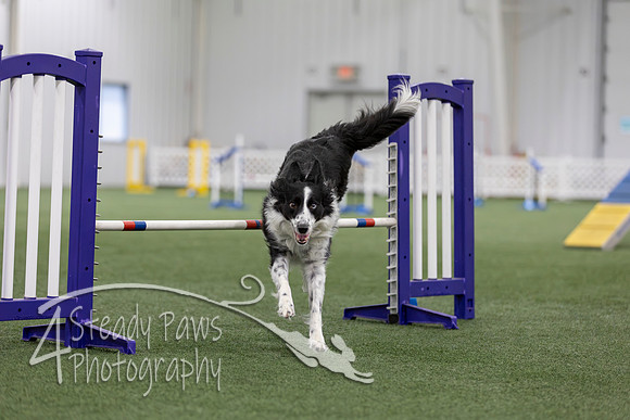 MastersSeriesAgility2026426