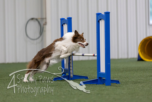 MastersSeriesAgility2026428