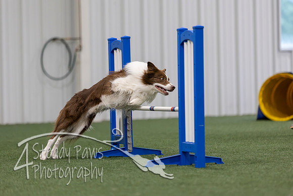 MastersSeriesAgility2026429