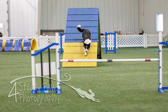 BegNovAgility2026134