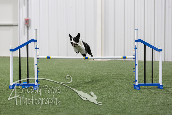 BegNovAgility2026138