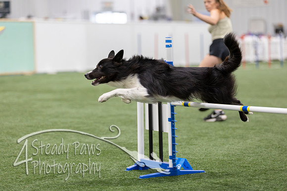 BegNovAgility2026140