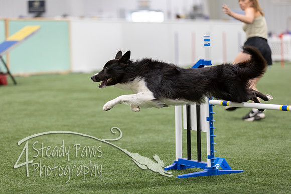 BegNovAgility2026141