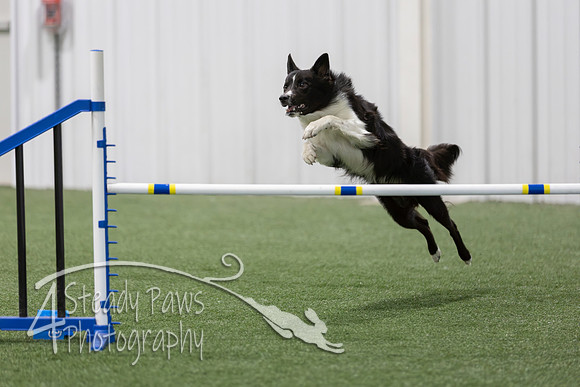 BegNovAgility2026147