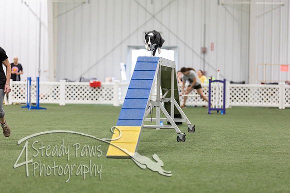 BegNovAgility2026150