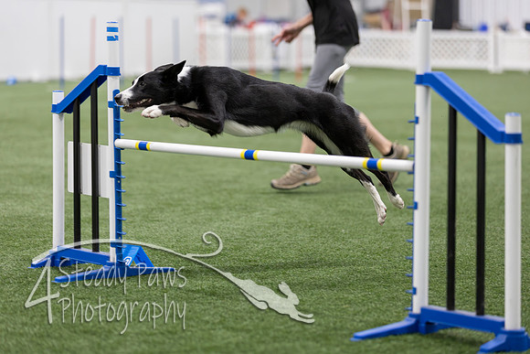 BegNovAgility2026152