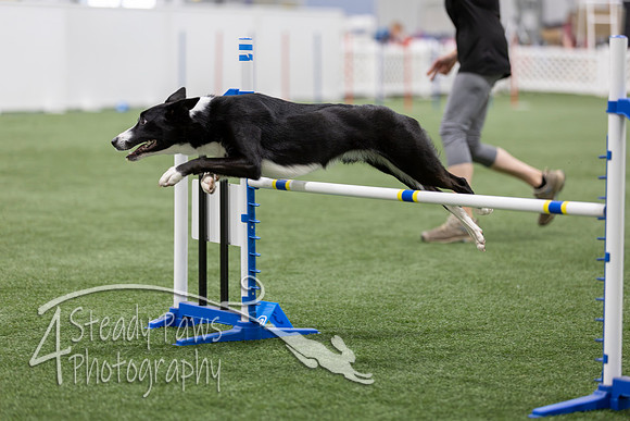 BegNovAgility2026153