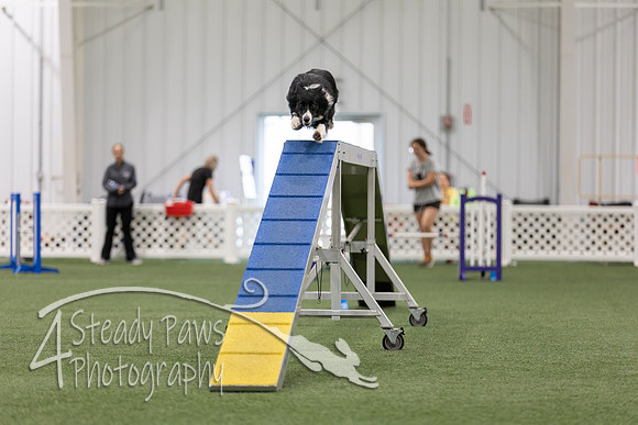 BegNovAgility2026159