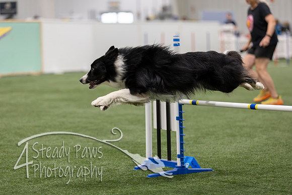 BegNovAgility2026160