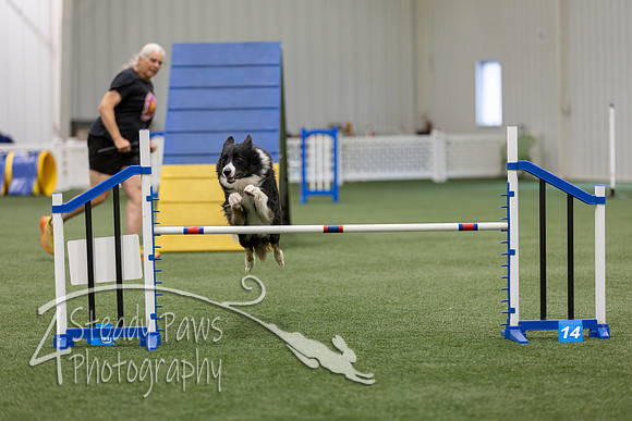 BegNovAgility2026162