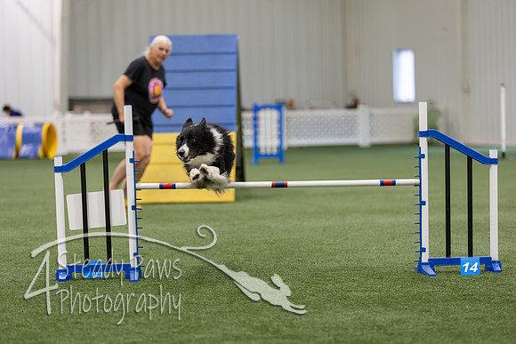 BegNovAgility2026163