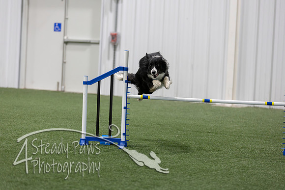 BegNovAgility2026165
