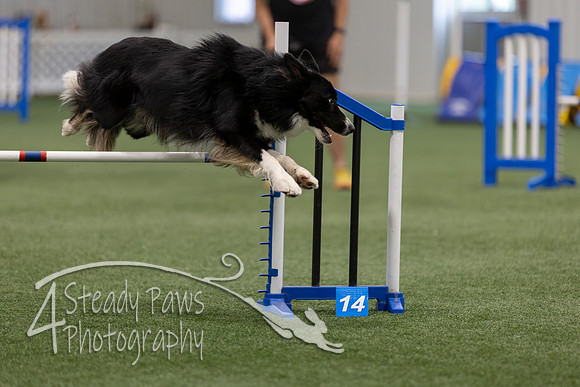 BegNovAgility2026167