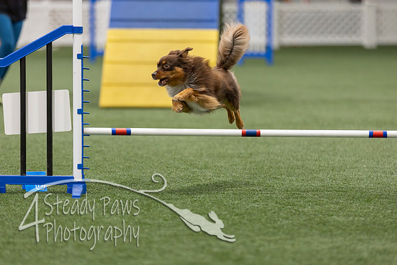 BegNovAgility202611