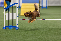 BegNovAgility202612